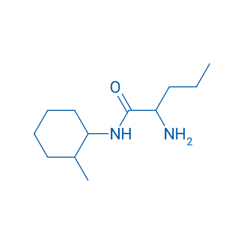 2-Amino-N-(2-methylcyclohexyl)pentanamide 1g
