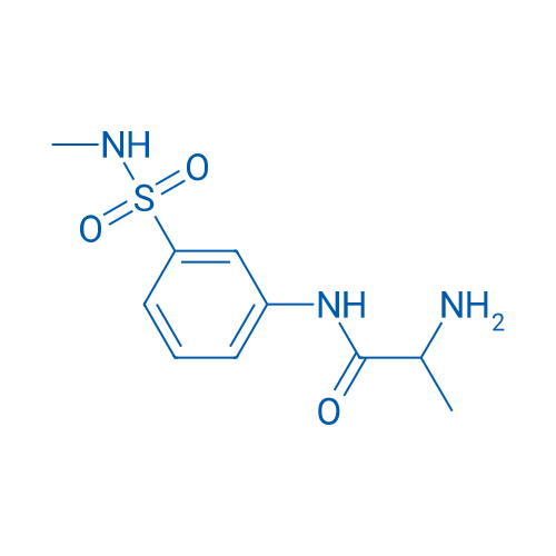 2-Amino-N-[3-(methylsulfamoyl)phenyl]propanamide 1g