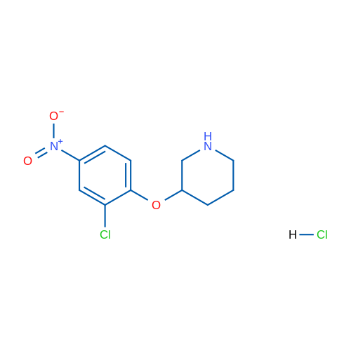 3-(2-Chloro-4-nitrophenoxy)piperidine hydrochloride 1g