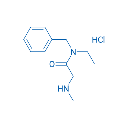 N-Benzyl-N-ethyl-2-(methylamino)acetamide hydrochloride 1g