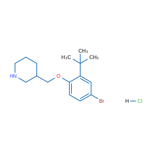 3-((4-Bromo-2-(tert-butyl)phenoxy)methyl)piperidine hydrochloride 1g