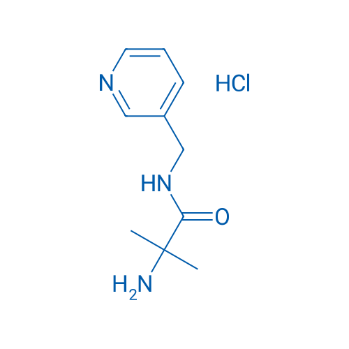 2-Amino-2-methyl-N-(pyridin-3-ylmethyl)propanamide hydrochloride 1g
