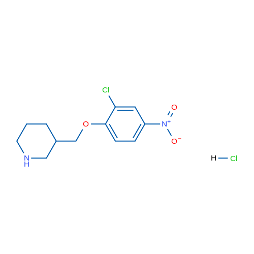 3-((2-Chloro-4-nitrophenoxy)methyl)piperidine hydrochloride 1g