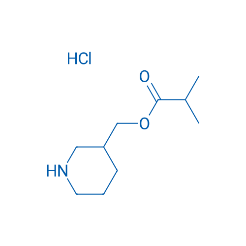 Piperidin-3-ylmethyl isobutyrate hydrochloride 1g
