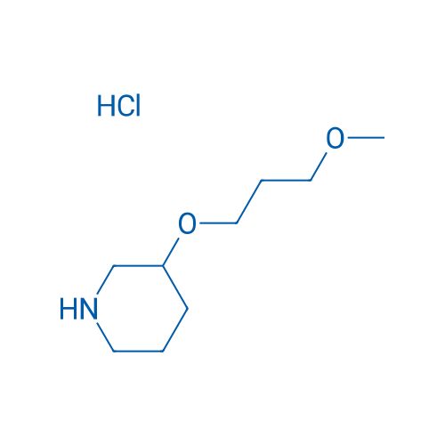 3-(3-Methoxypropoxy)piperidine hydrochloride 1g