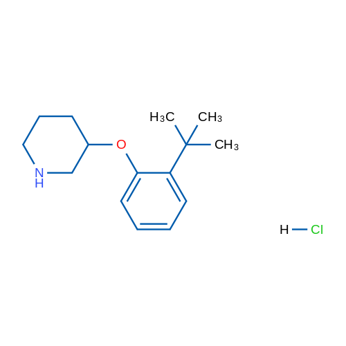 3-(2-(tert-Butyl)phenoxy)piperidine hydrochloride 1g