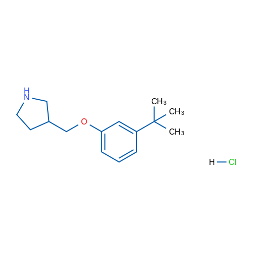 3-((3-(tert-Butyl)phenoxy)methyl)pyrrolidine hydrochloride 1g