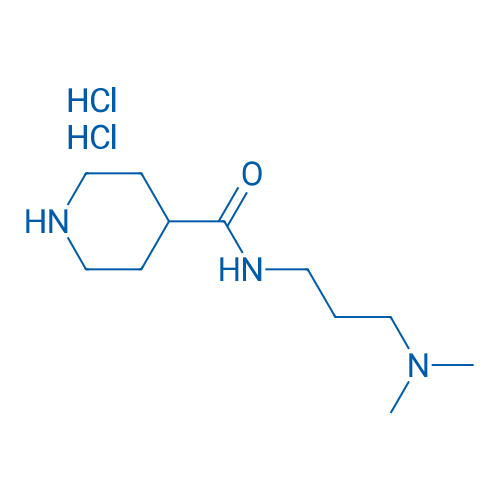 N-(3-(Dimethylamino)propyl)piperidine-4-carboxamide dihydrochloride 1g