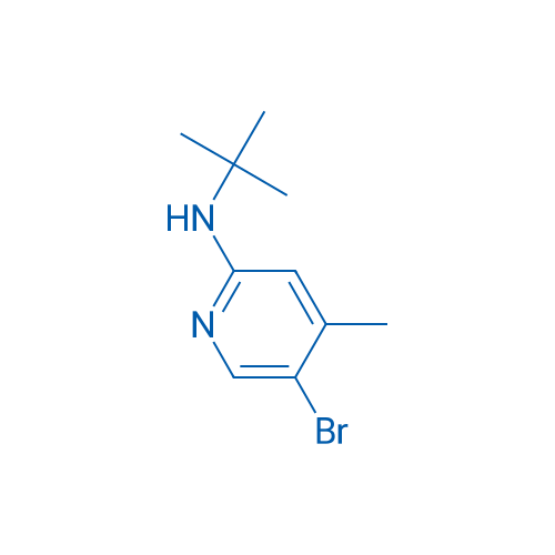 5-Bromo-N-(tert-butyl)-4-methylpyridin-2-amine 5g