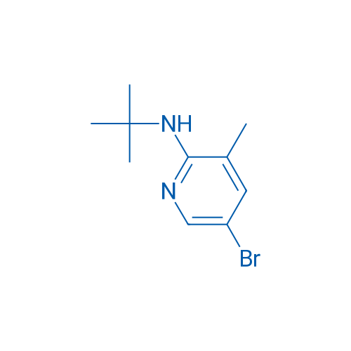 5-Bromo-N-(tert-butyl)-3-methylpyridin-2-amine 1g