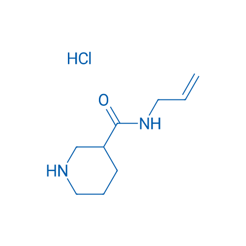 N-Allylpiperidine-3-carboxamide hydrochloride 1g