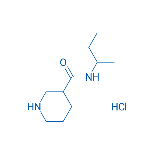 N-(sec-Butyl)piperidine-3-carboxamide hydrochloride 1g