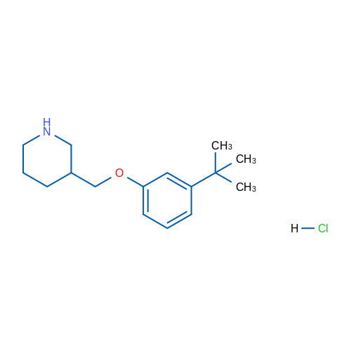 3-((3-(tert-Butyl)phenoxy)methyl)piperidine hydrochloride 1g