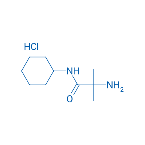 2-Amino-N-cyclohexyl-2-methylpropanamide hydrochloride 1g