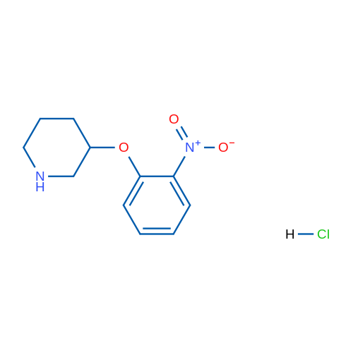 3-(2-Nitrophenoxy)piperidine hydrochloride 1g