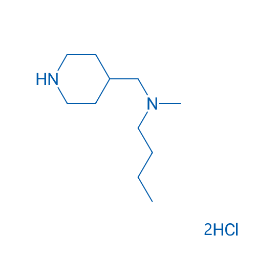 N-Methyl-N-(piperidin-4-ylmethyl)butan-1-amine dihydrochloride 1g