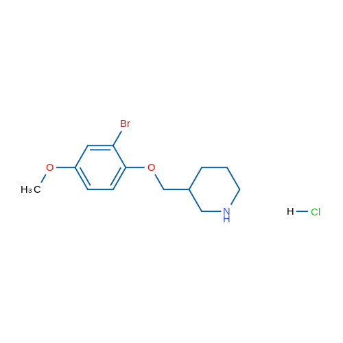 3-((2-Bromo-4-methoxyphenoxy)methyl)piperidine hydrochloride 1g