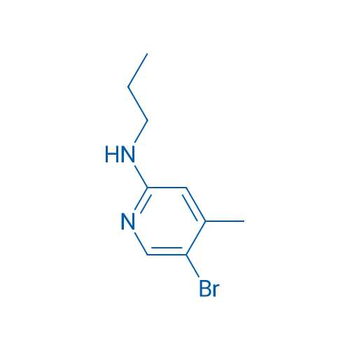 5-Bromo-4-methyl-N-propylpyridin-2-amine 1g
