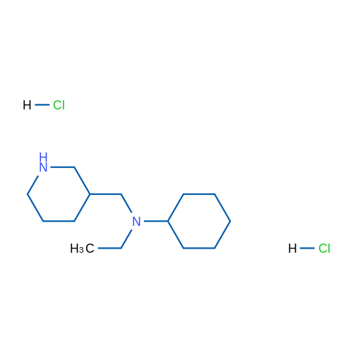 N-Ethyl-N-(piperidin-3-ylmethyl)cyclohexanamine dihydrochloride 1g