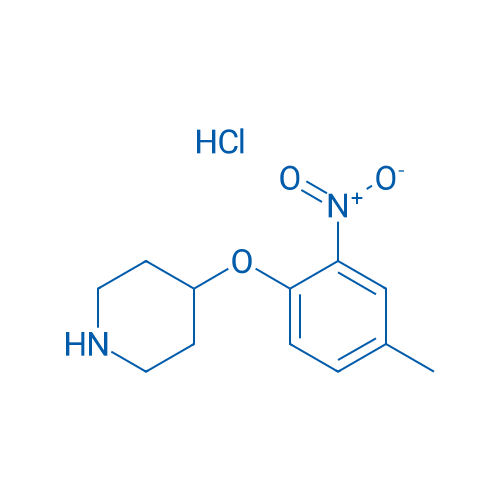 4-(4-Methyl-2-nitrophenoxy)piperidine hydrochloride 1g