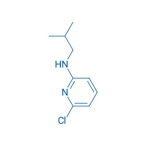 6-Chloro-N-isobutylpyridin-2-amine 1g