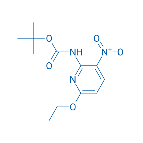 (6-Ethoxy-3-nitro-pyridin-2-yl)-carbamic acid tert-butyl ester 1g