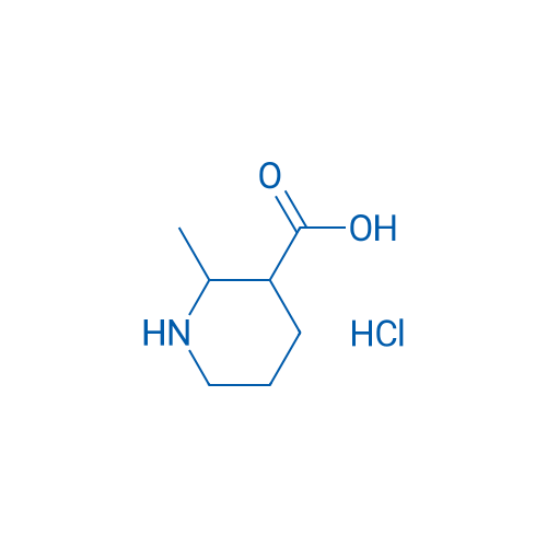 2-Methylpiperidine-3-carboxylic acid hydrochloride 250mg