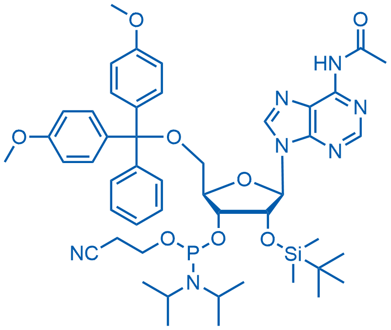 2'-OTBS A(Ac) amidite 1g