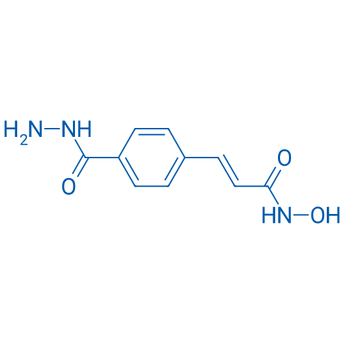 (E)-3-(4-(Hydrazinecarbonyl)phenyl)-N-hydroxyacrylamide 1g