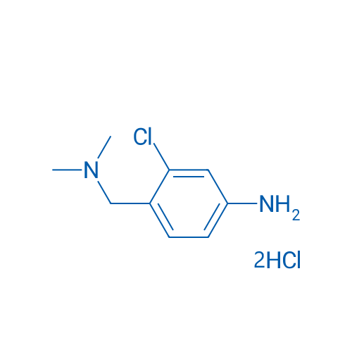 3-Chloro-4-[(dimethylamino)methyl]aniline dihydrochloride 1g