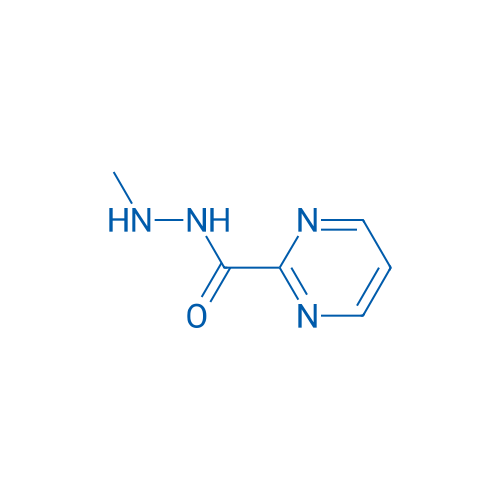 N'-Methylpyrimidine-2-carbohydrazide 1g
