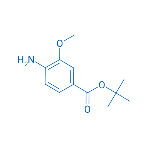 tert-Butyl 4-amino-3-methoxybenzoate 5g