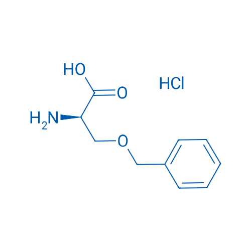 H-D-Ser(Bzl)-OH·HCl 1g