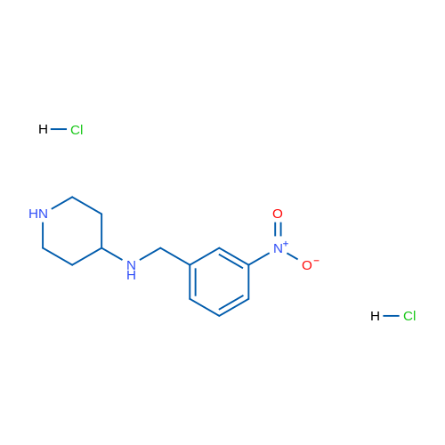 N-(3-Nitrobenzyl)piperidine-4-amine dihydrochloride 1g