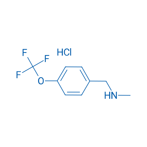 N-Methyl-1-(4-(trifluoromethoxy)phenyl)methanamine hydrochloride 1g