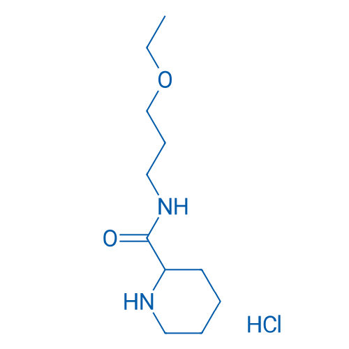 N-(3-Ethoxypropyl)piperidine-2-carboxamide hydrochloride 1g