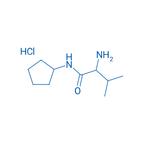 2-Amino-N-cyclopentyl-3-methylbutanamide hydrochloride 1g