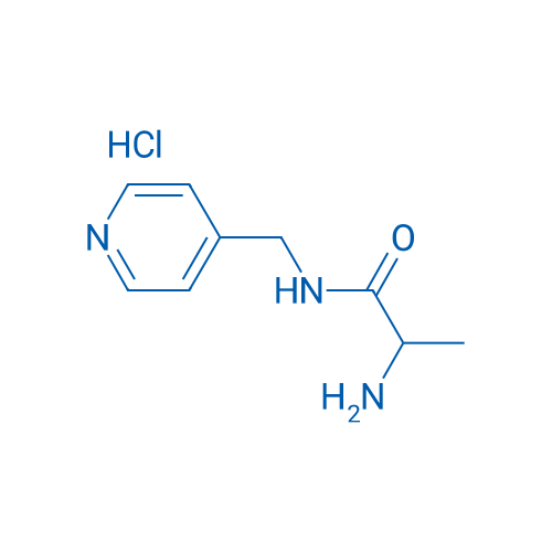 2-Amino-N-(pyridin-4-ylmethyl)propanamide hydrochloride 1g