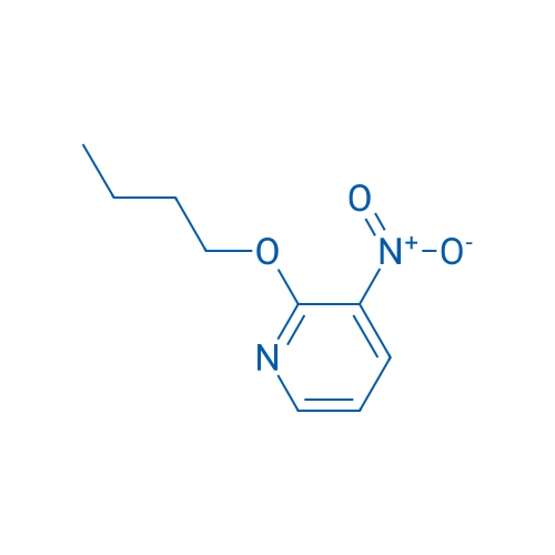 2-BUtoxy-3-nitro-pyridine 1g