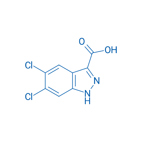 5,6-Dichloro-1H-indazole-3-carboxylic acid 250mg