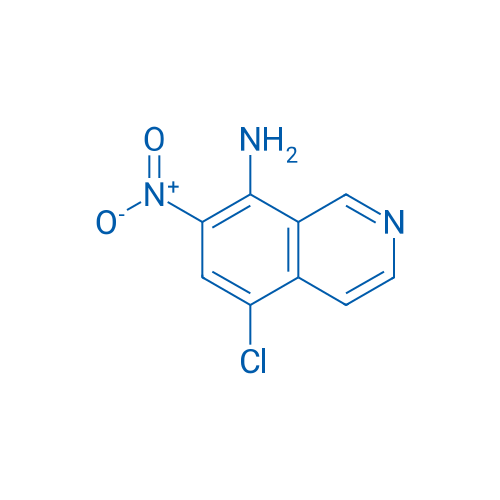 5-Chloro-7-nitroisoquinolin-8-amine 1g