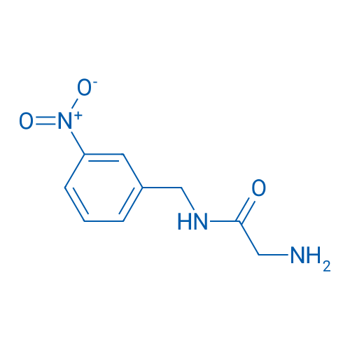 2-Amino-N-(3-nitrobenzyl)acetamide 1g