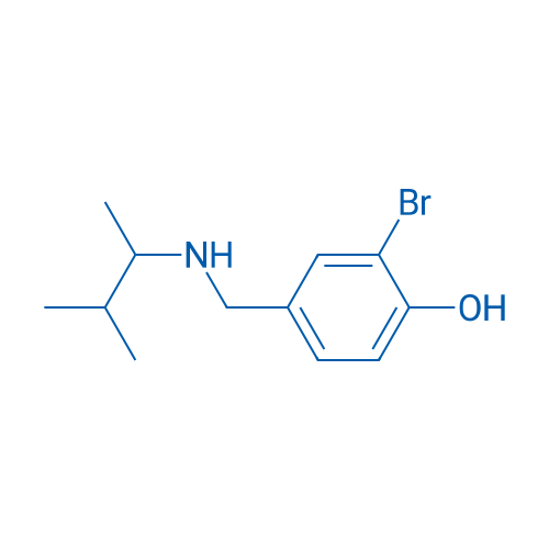 2-Bromo-4-{[(3-methylbutan-2-yl)amino]methyl}phenol 1g