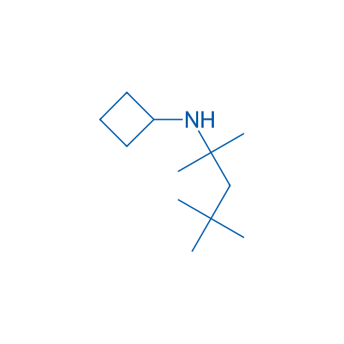 N-(2,4,4-trimethylpentan-2-yl)cyclobutanamine 250mg