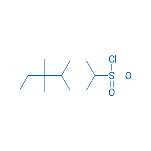 4-(2-Methylbutan-2-yl)cyclohexane-1-sulfonyl chloride 1g