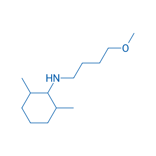 N-(4-Methoxybutyl)-2,6-dimethylcyclohexan-1-amine 250mg