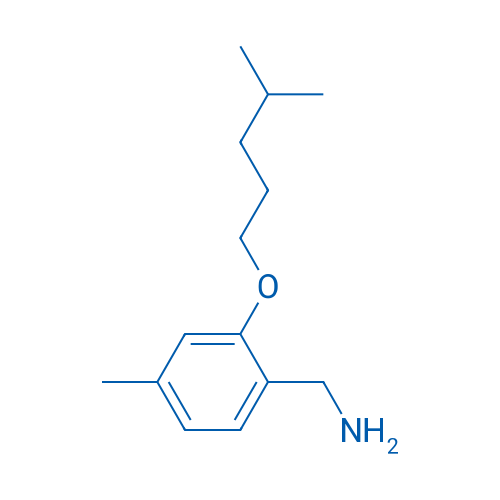 {4-methyl-2-[(4-methylpentyl)oxy]phenyl}methanamine 1g