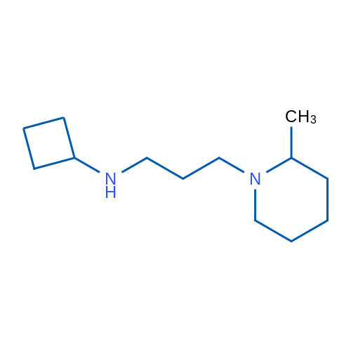 N-[3-(2-Methylpiperidin-1-yl)propyl]cyclobutanamine 1g
