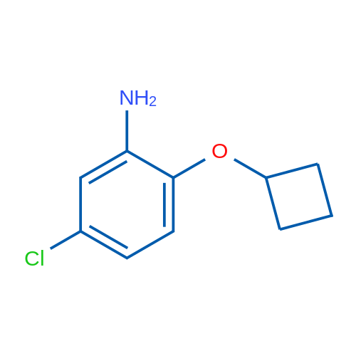 5-Chloro-2-cyclobutoxyaniline 1g