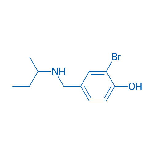2-Bromo-4-{[(butan-2-yl)amino]methyl}phenol 1g
